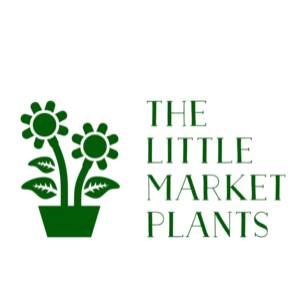 The little market Plants james wu
